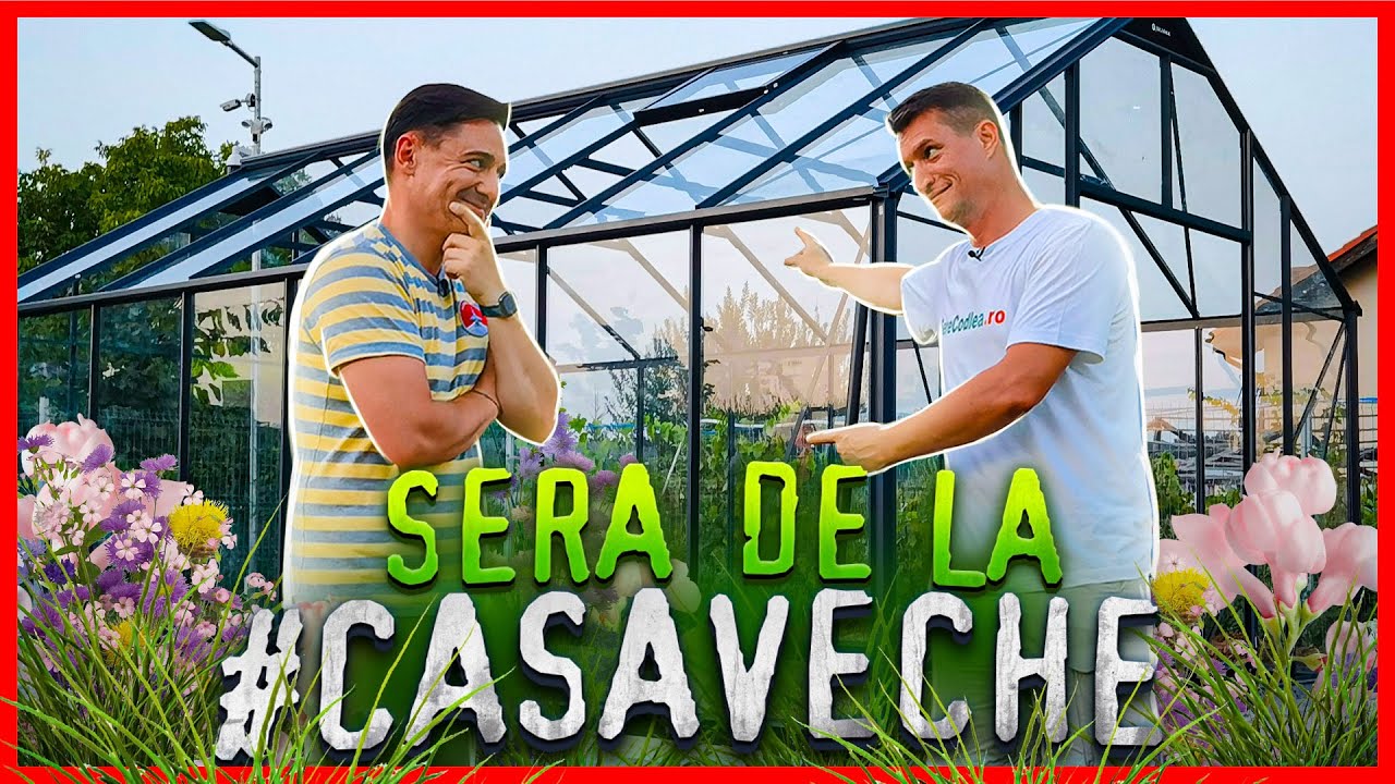 #casaveche ep.21 - Sera cea mai frumoasă de la #casabuhnici2