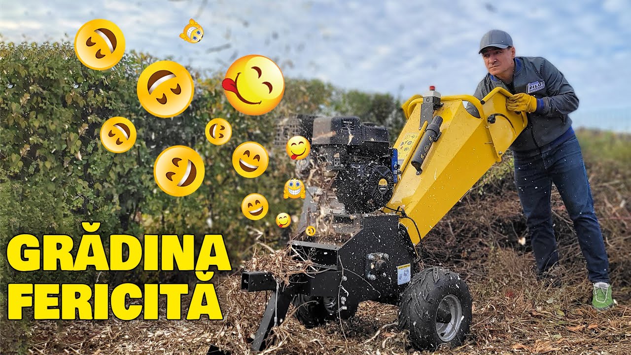 Grădină întreținută chibzuit și cu… benzină