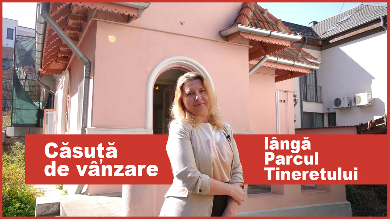 Căsuță de vânzare lângă Parcul Tineretului