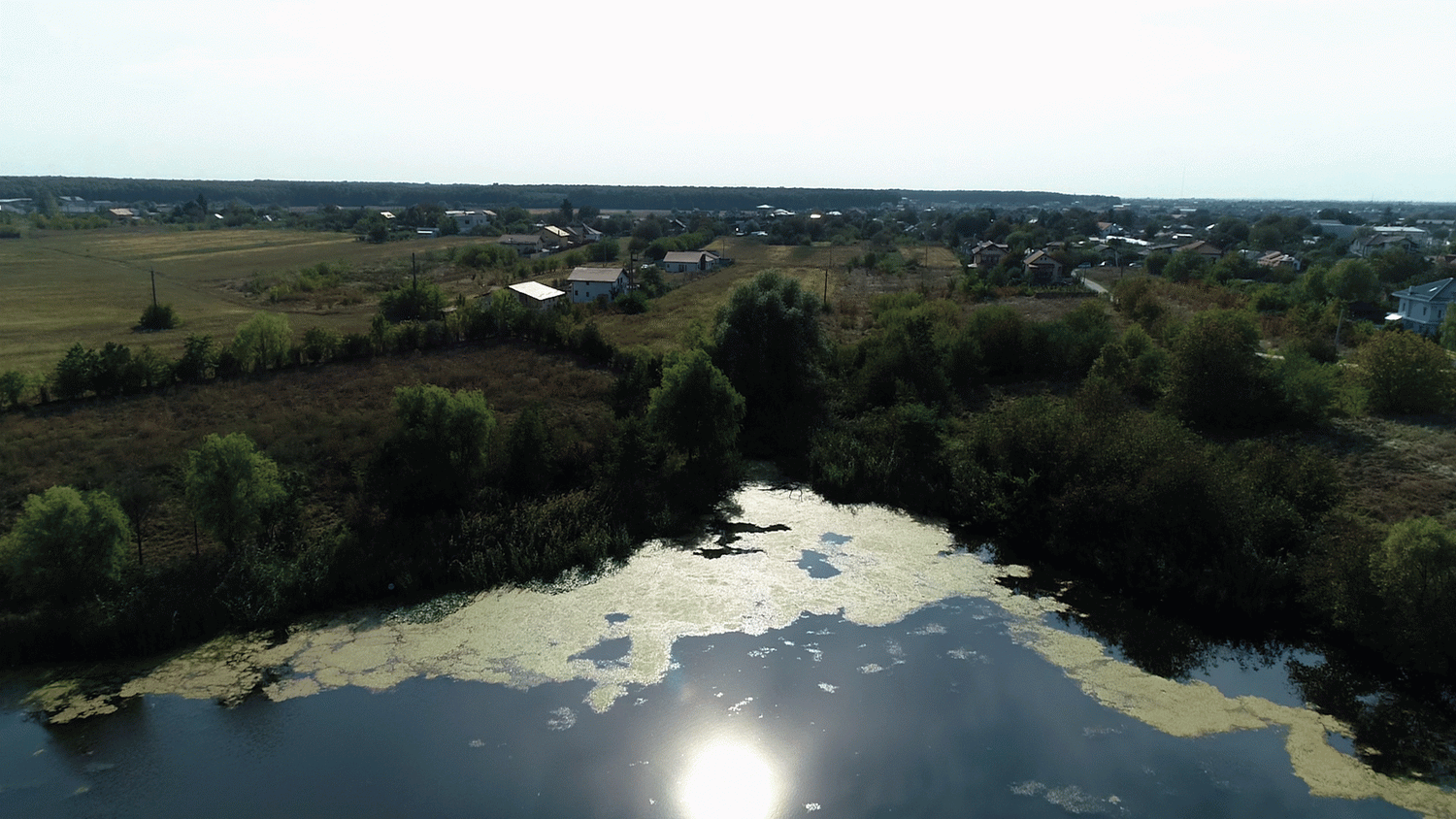 VIDEO - Vrei casă. Ce teren ai? RE/MAX Optimus