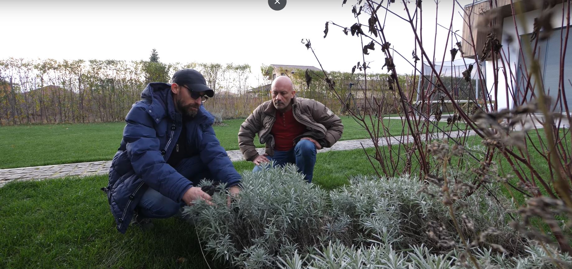 Video - SECRETELE GRĂDINII BUHNICI
