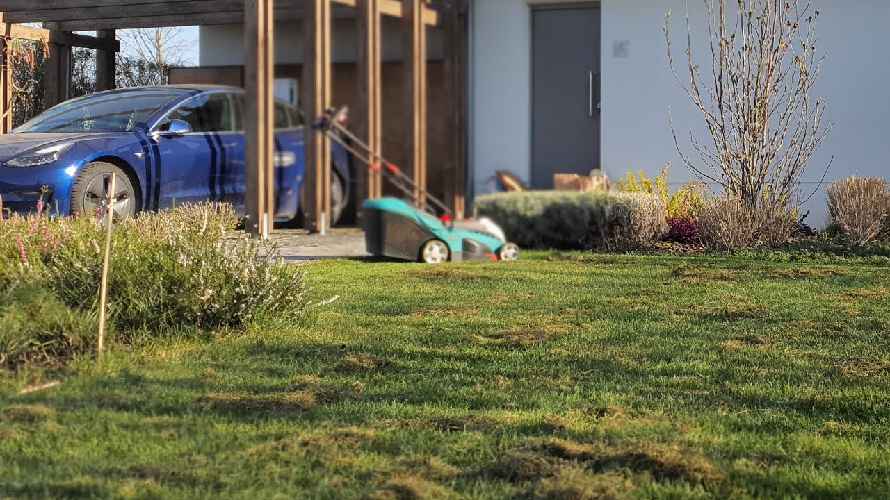 Lucrari de sezon în grădina #casabuhnici