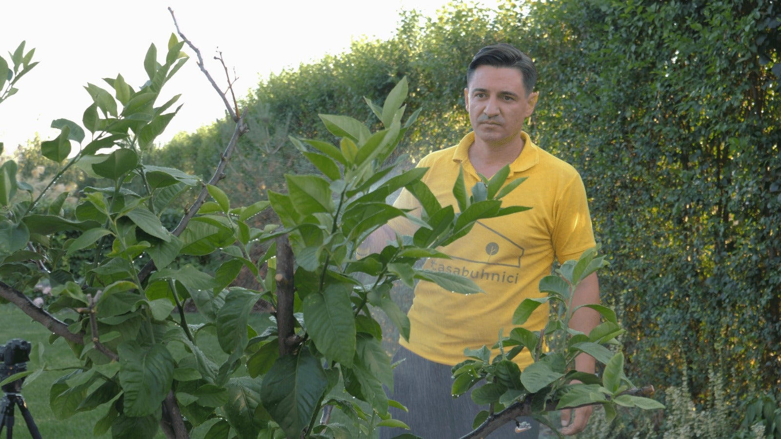 Video - Cum e grădina #casabuhnici după 3 ani?