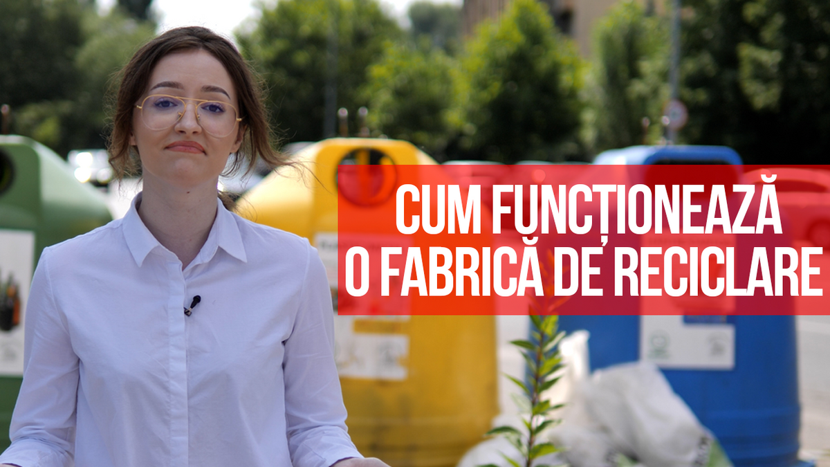 Cum funcționează o fabrică de reciclare