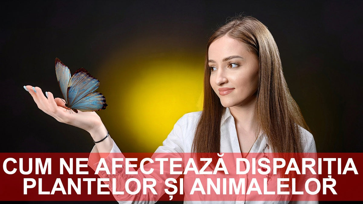 Cum ne afectează dispariția plantelor și animalelor