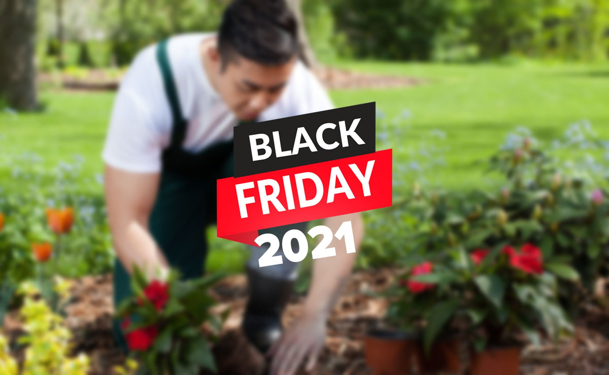 Black Friday pentru întreținerea gazonului