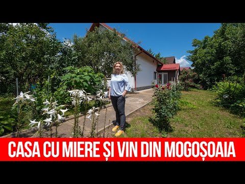 Casa cu miere și vin din Mogoșoaia