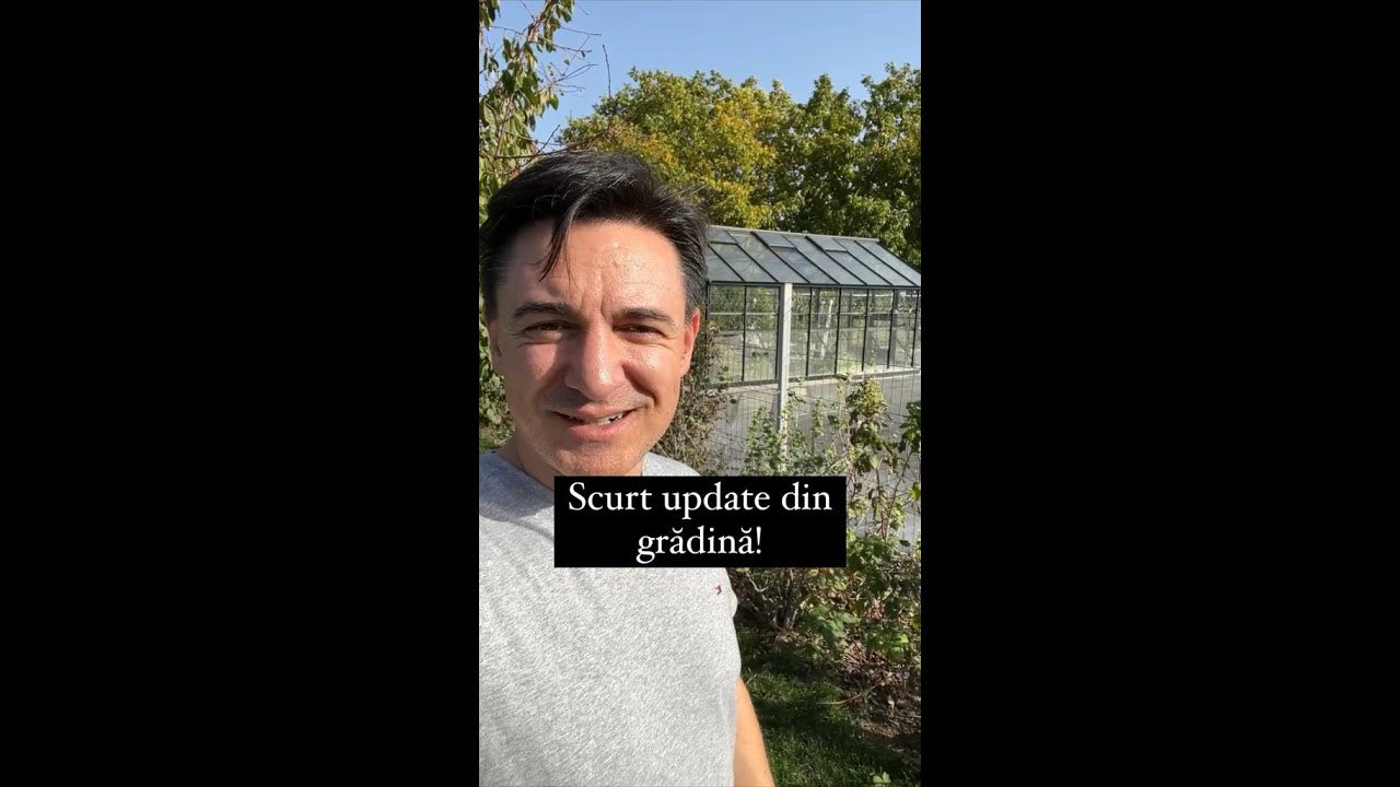 Cum pregătesc gradina pentru iarnă