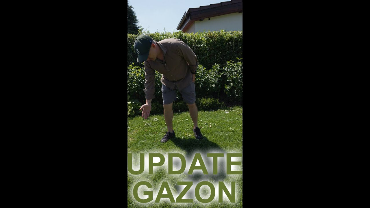 Am "reparat" gazonul!